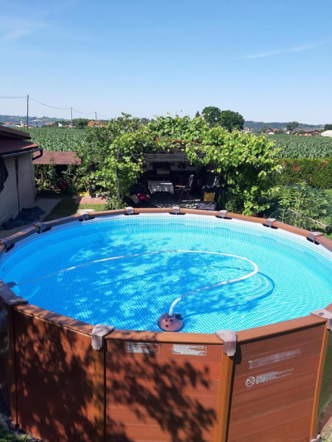 Apartments Isabella Ptuj Luaran gambar