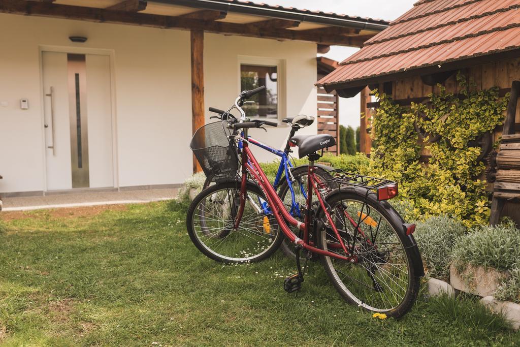 Apartments Isabella Ptuj Luaran gambar